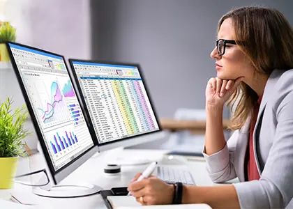 Excel Data Entry Services