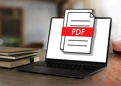 PDF Data Entry Services
