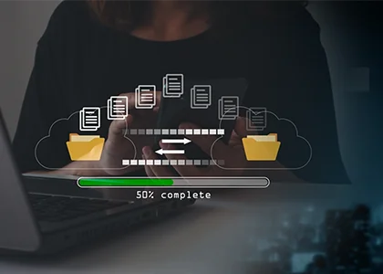 Web Data Extraction Services
